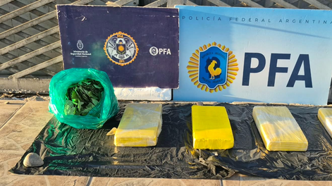 Los ladrillos de cocaína y las hojas de coca secuestrados por la Policía Federal.&nbsp;