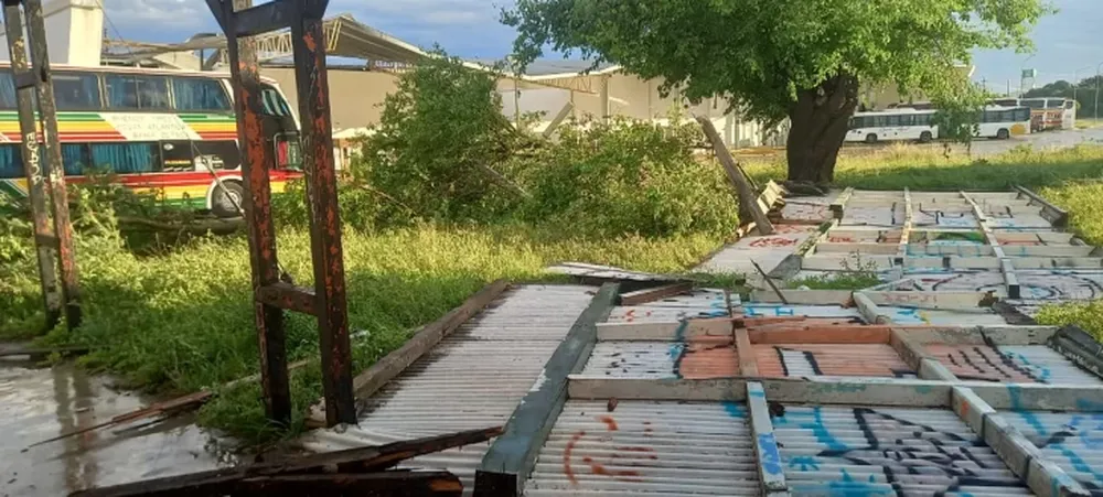 Un temporal de lluvia, viento y granizo ocasionó graves destrozos en Miramar