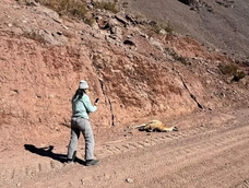 Ambiente investiga una importante mortandad de guanacos en la alta cordillera sanjuanina.