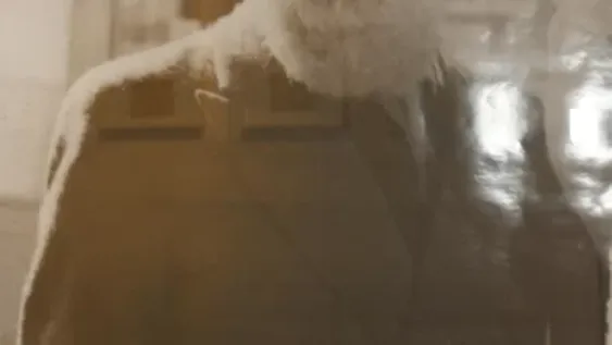 Viaje al universo del primer Tornambé