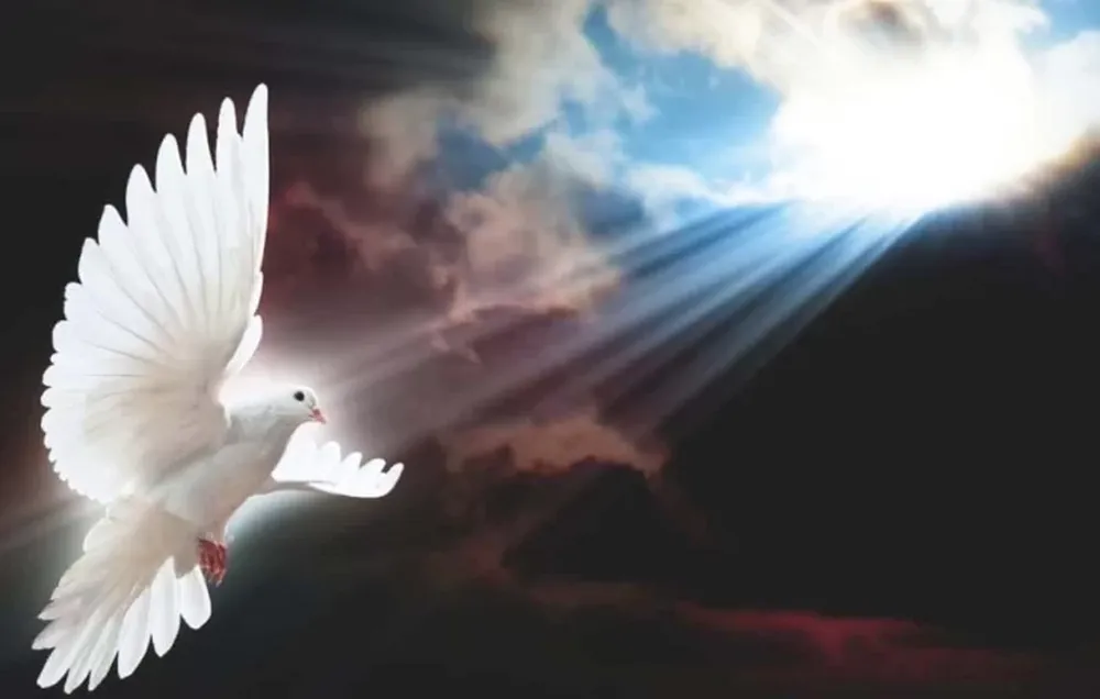 AQUÍ APARECE EL CONCEPTO verdad, que en la Biblia no es tanto un concepto abstracto o intelectual; en la Biblia, la verdad se vuelve vida, es operativa en todos los niveles existenciales, se siente con el corazón, se transmite con el sentimiento.