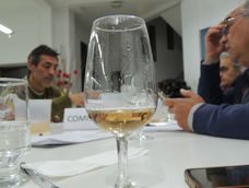 cata san juan: 376 muestras de 90 proyectos enologicos de todo el pais buscaran lograr el gran oro