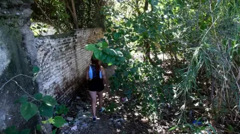 Brutal ataque: una joven esperaba el colectivo y le pegaron un ladrillazo en la cara para robarle