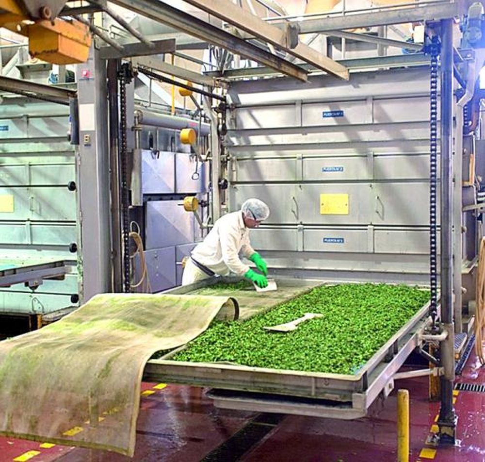 La única planta de deshidratados de sopas líder está en Mendoza
