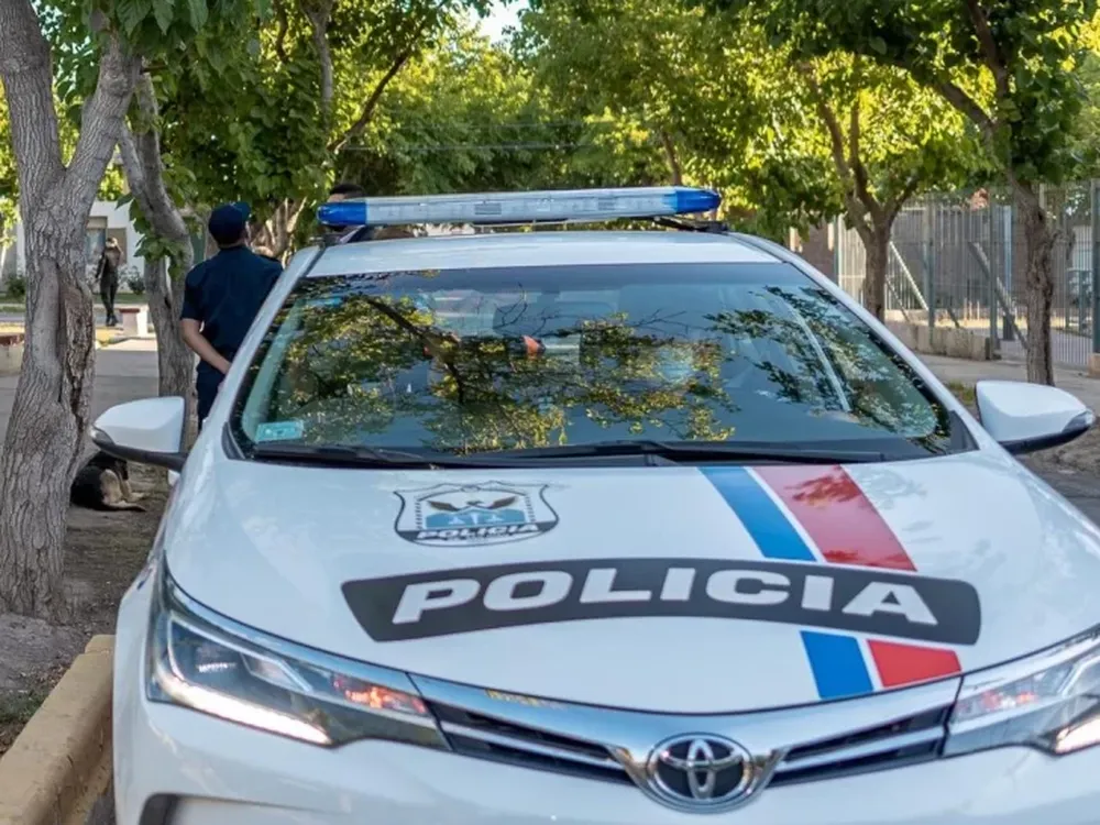 Cayeron siete sujetos, entre ellos dos menores, por intentar robar en un auto