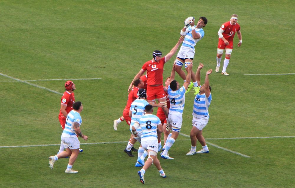Triunfo. Los Pumas vencieron a Gales en San Juan en una fiesta del rugby en la provincia.