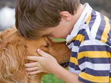 29 de abril, dia del animal, las mascotas en casa sanan 29 de abril, dia del animal, las mascotas en casa sanan
