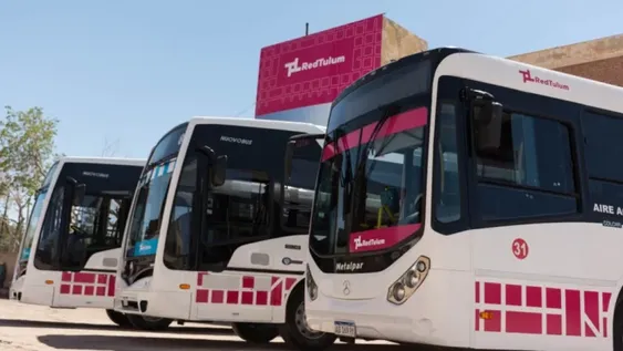 Cambia el recorrido de los colectivos: las claves de la Red Tulum