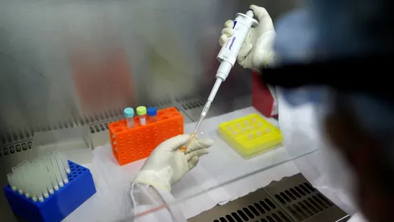 Investigan si hay Ómicron y aseguran que las nuevas variantes podrían dar pie a la tercera ola