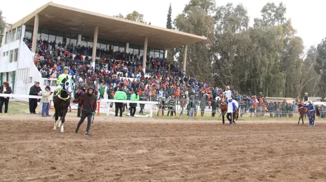 Diario de Cuyo | ddc080921 030f01 728x586.webp