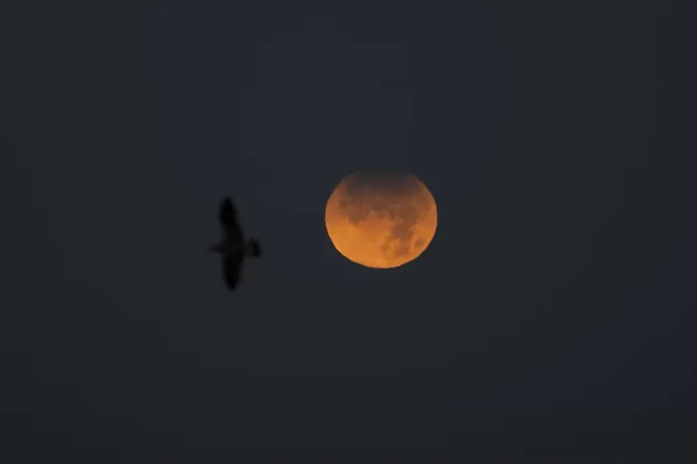 Así fue el eclipse de Luna “casi total”, el más largo desde 1440