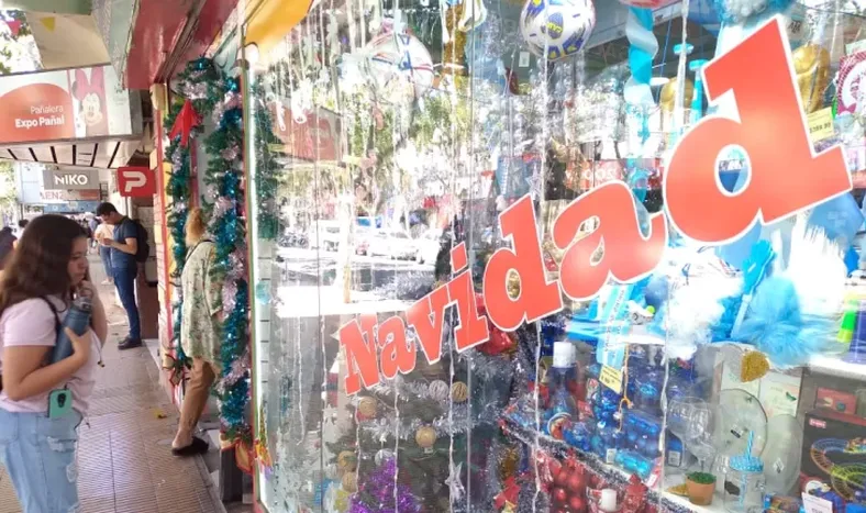 Arbolitos de Navidad, precios para todos los gustos: desde $1.610 hasta $35.500