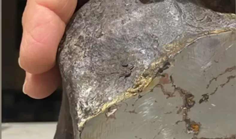 Charla sobre meteoritos en el Chalet Cantoni
