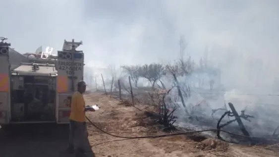 Un incendio destruyó parrales y otros árboles en una finca: creen que fue intencional