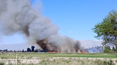 Feroz incendio en Médano de Oro: quema de pastizales amenaza viviendas