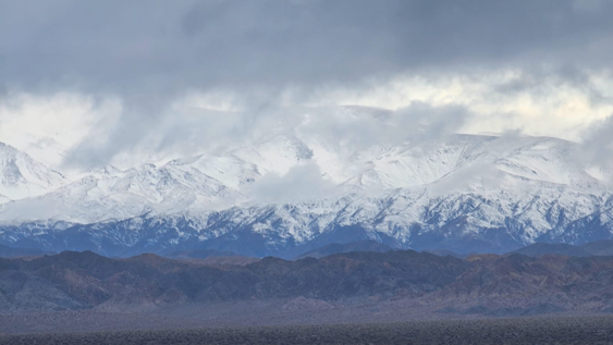 Nevadas.