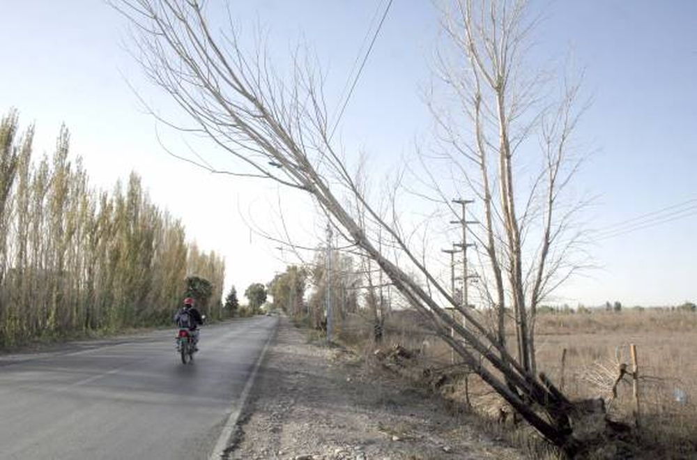 Un viento muy fuerte, pero que ocasionó pocos daños