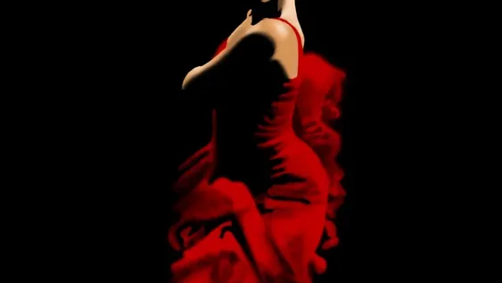 Almas vibrantes de flamenco