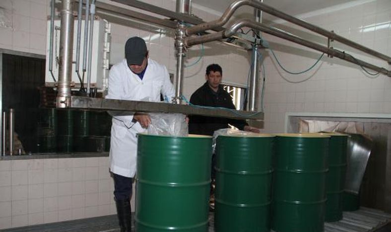 Mosto orgánico: una alternativa a la crisis vitivinícola local