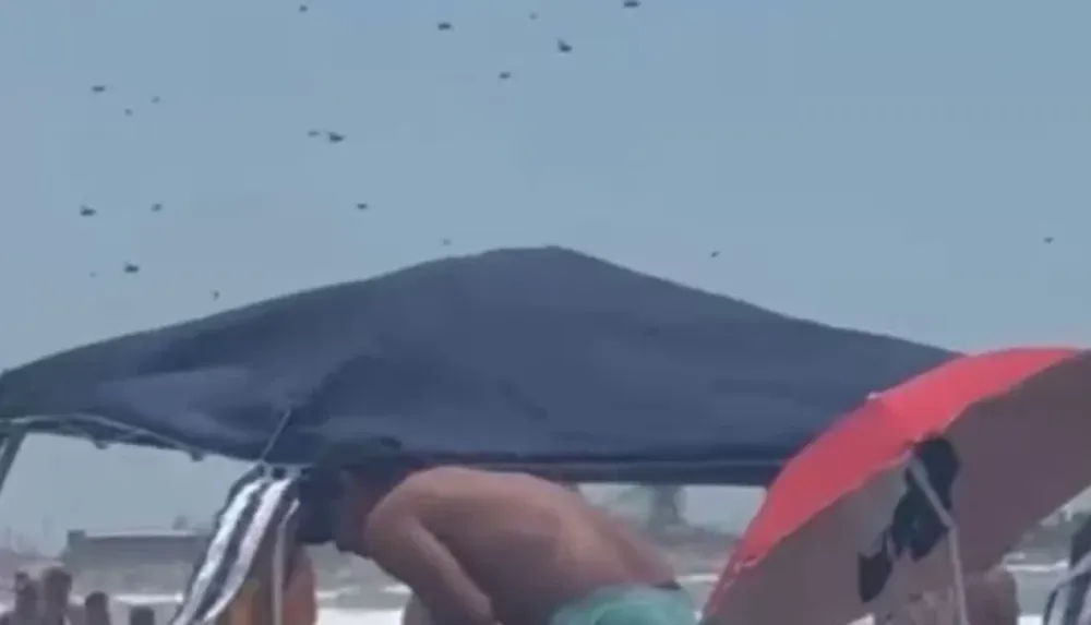 [VIDEOS] Impresionante invasión de abejas en Punta Mogotes despertó la desesperación de turistas