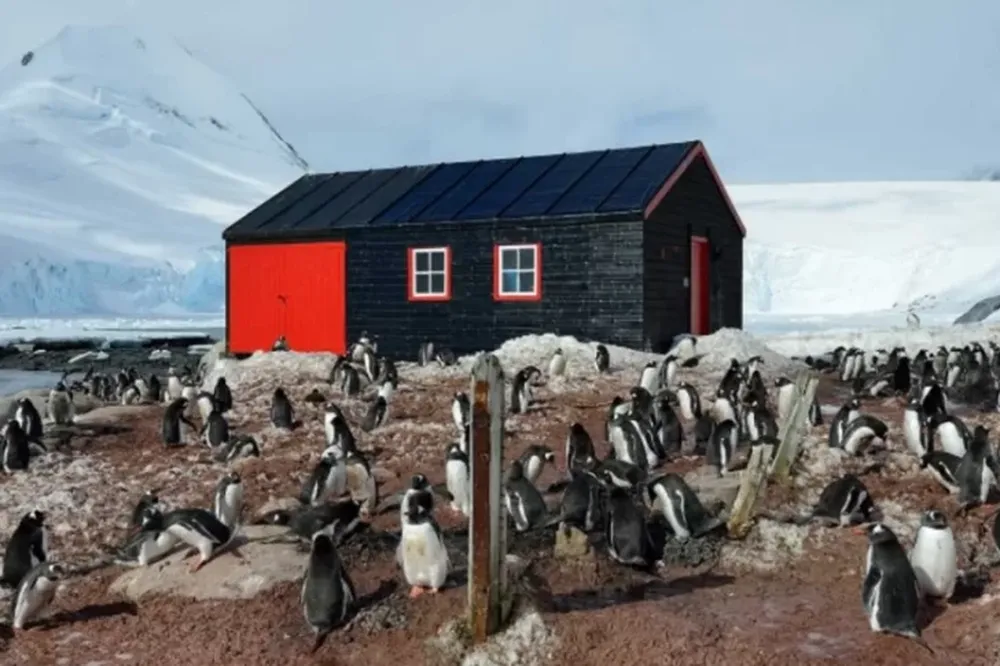 Récord de calor en la Antártida que inquieta al mundo científico