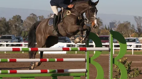 Un mendocino resultó campeón del “Torneo Aniversario” en el Jockey Club