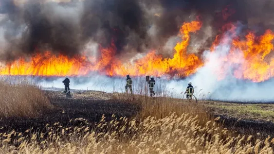 El Gobierno dará una asignación de $10.000 a los que luchen contra los incendios