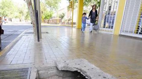Dos meses para poner 530 árboles