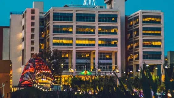 Lo que hay que saber sobre el funcionamiento de servicios los próximos 24 y 25 de diciembre