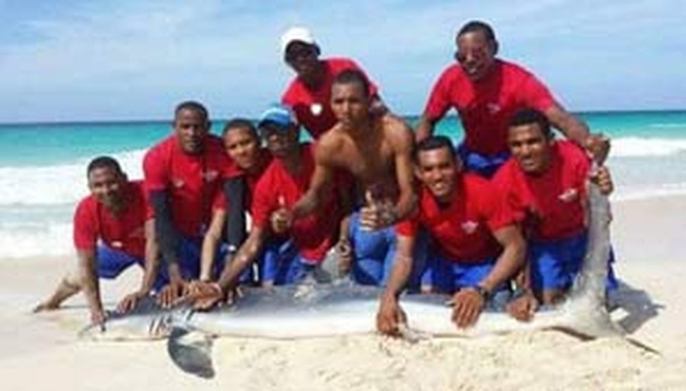 Como en la Costa: mataron un tiburón para tomarse una foto
