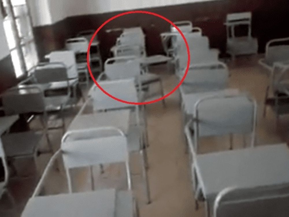 Alto nivel de ausentismo en el paro de UDAP en solidaridad con CTERA: 64,6%