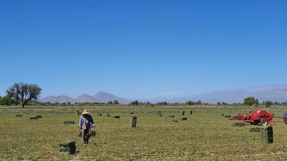 Récord de inscriptos en ciencias económicas y empresariales