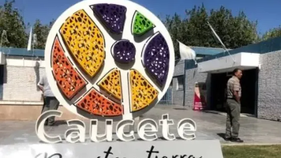 Prostituía a su ex con una fijación: exigirle usar zapatos taco aguja símil animal print