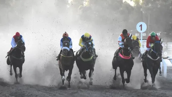 Con turf, vuelven las competencias