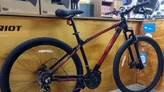 Detuvieron a un joven por robar una bicicleta en la Feria de Capital