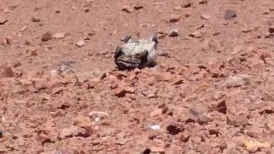 Vuelco fatal del lado chileno