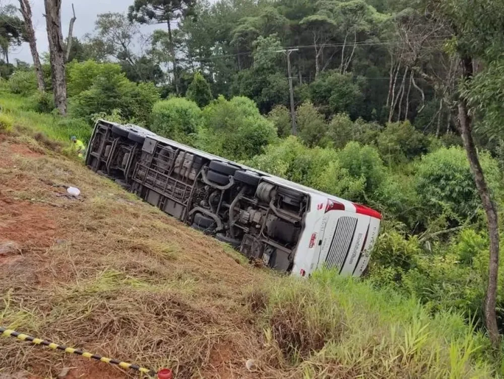 Identificaron a los 5 argentinos que murieron en una ruta de Brasil