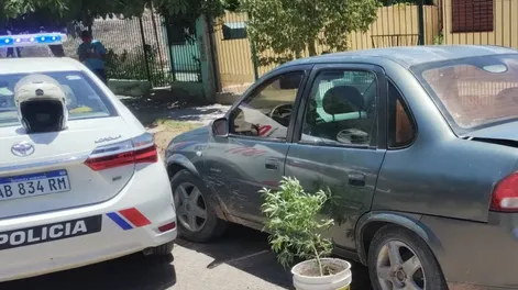 Detuvieron a “El Suprema” y cuatro sujetos más por trasladar una planta de marihuana y golpear a la Policía