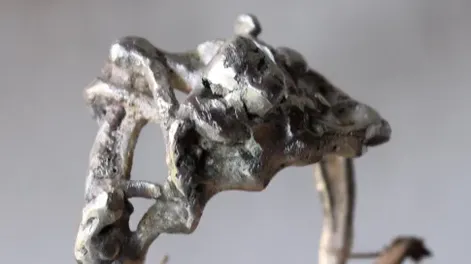 Diario de Cuyo | desierto_anillo_1_x1x 485x728.webp