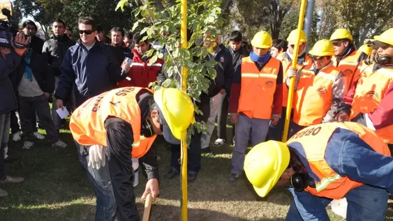 Presentaron el programa estratégico de arbolado público San Juan 2020