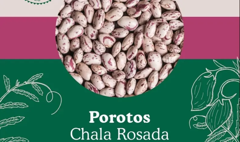 La Cooperativa El Porvenir y sus numerosas cosechas