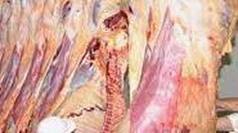 La faena estable, con un mercado interno deprimido