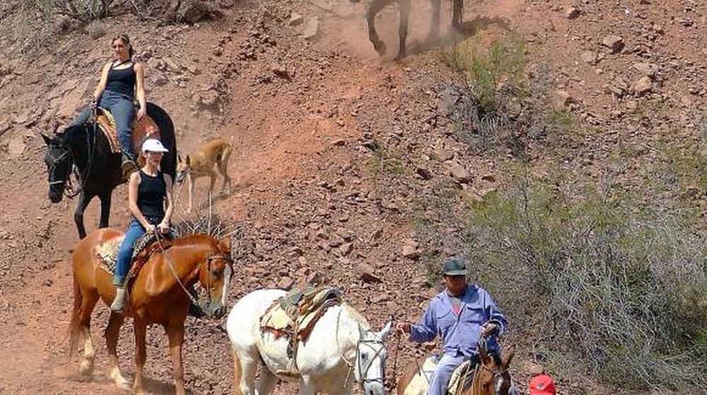 Turismo: reeditarán los descuentos en invierno