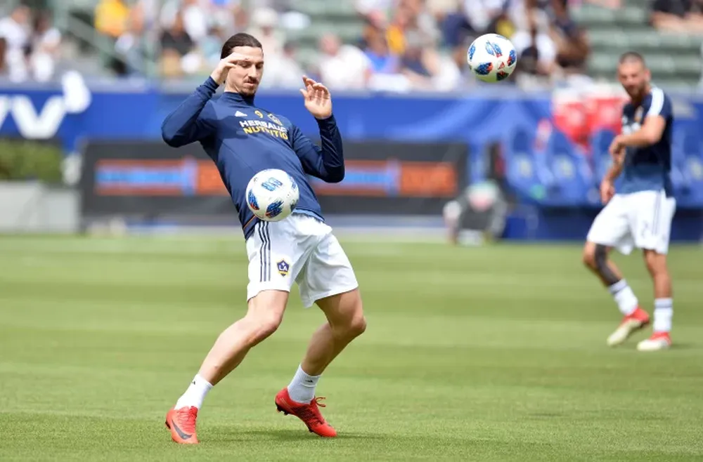 El técnico de Suecia no llevará a Zlatan al Mundial