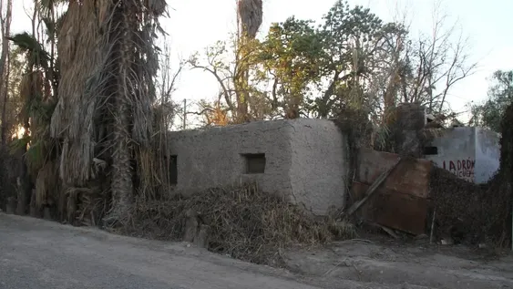 Ahora dicen que el futuro de la mujer que insulta depende de sus vecinos