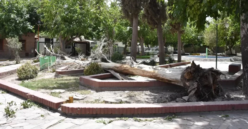 Energía San Juan dijo que quedan unos “900 reclamos pendientes” y aún hay problemas con el agua
