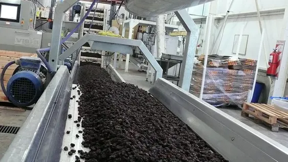 Por 2.000 toneladas de pasas frenadas en Brasil buscan salida