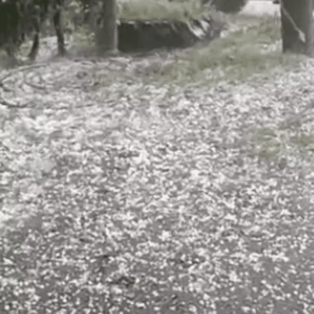 Con granizo y abundante caída de agua, pronostican fuertes tormentas en el Este