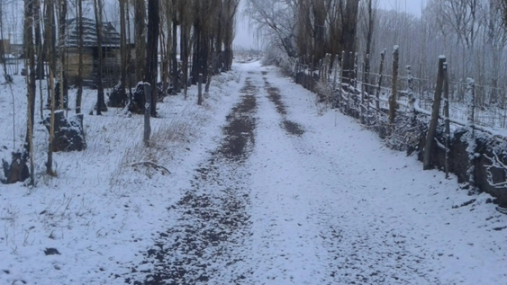 Una ola polar traerá importantes nevadas a la Cordillera y máxima de 7° al Gran San Juan