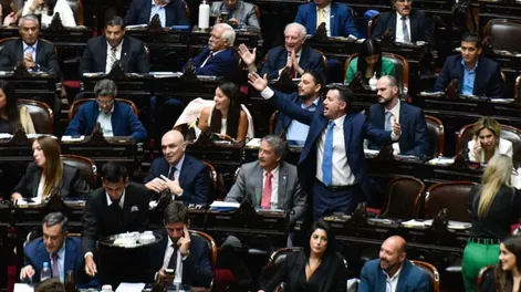 Con el ojo puesto en Diputados: Garrahan, jubilaciones y discapacidad, temas sensibles para el gobierno